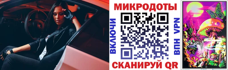 KRAKEN ССЫЛКА  Темников  Псилоцибиновые грибы Psilocybine cubensis 